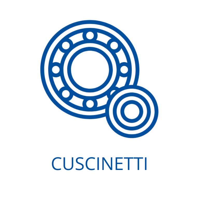 ASNA 216 COPERCHIO ASNA SKF