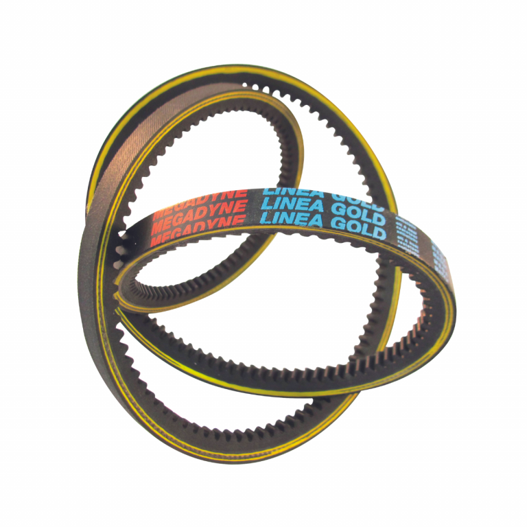 AX 15 LINEA GOLD CINGHIA TRAPEZOIDALE MEGADYNE